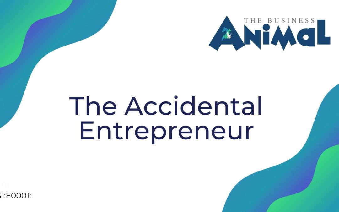 01: The Accidental Entrepreneur