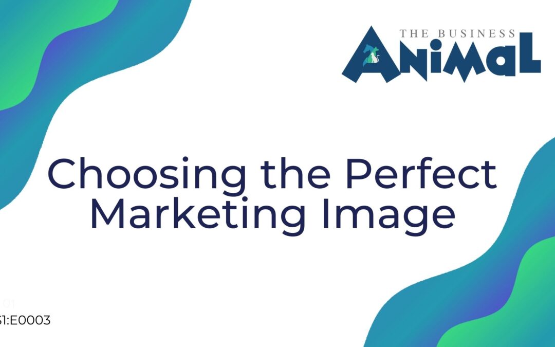 03: Choosing the Perfect Marketing Image