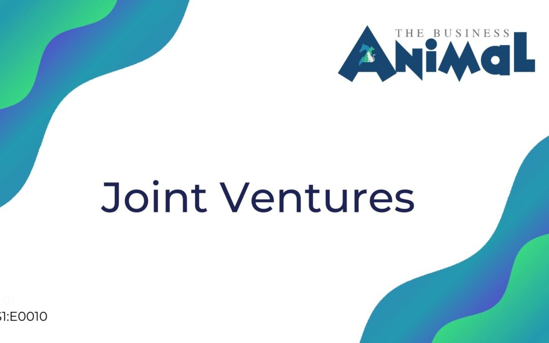 10: Joint Ventures