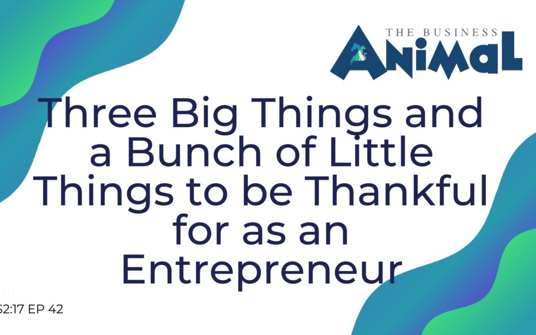 42: Three Big Things and a Bunch of Little Things to be Thankful for as an Entrepreneur