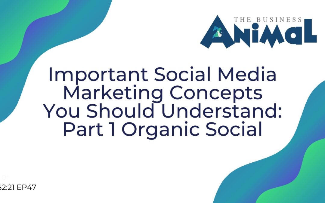 47: Important Social Media Marketing Concepts You Should Understand: Part 1 Organic Social