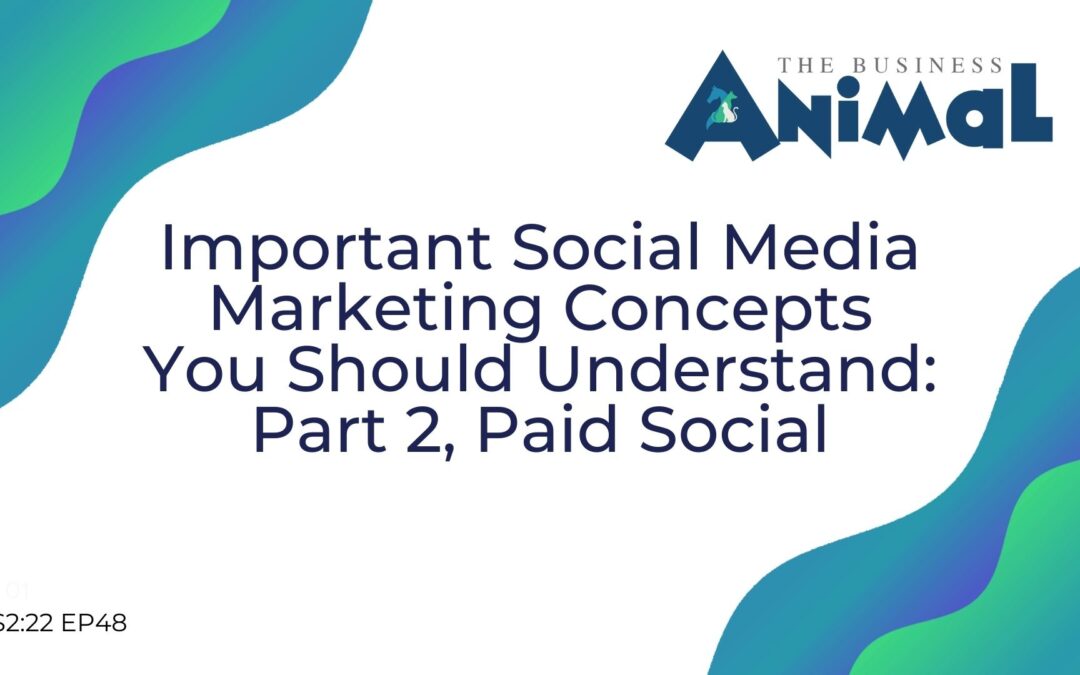 48: Important Social Media Marketing Concepts You Should Understand: Part 2, Paid Social