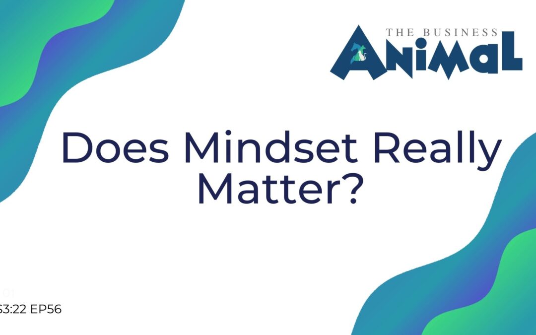 56: Does Mindset Really Matter?