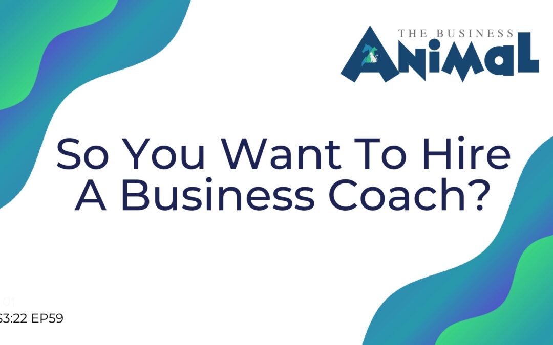 59: So You Want To Hire A Business Coach?