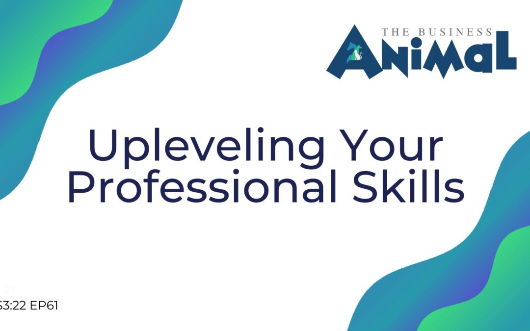 61: Upleveling Your Professional Skills