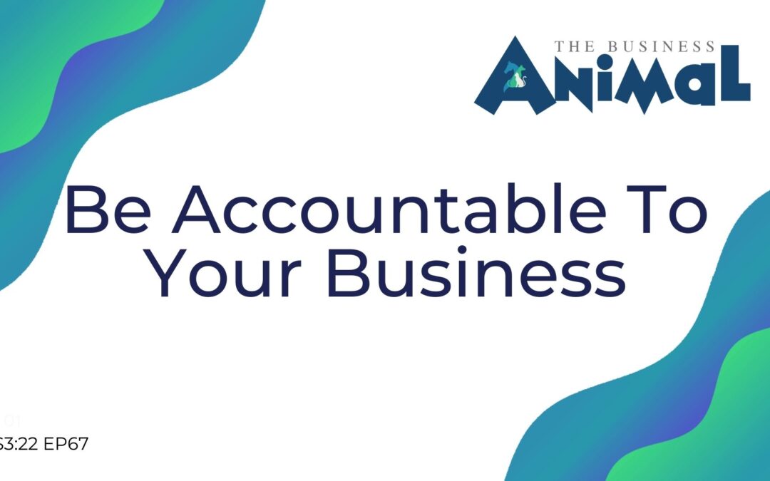 67: Be Accountable To Your Business